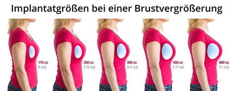 durchschnittliche brustgröße